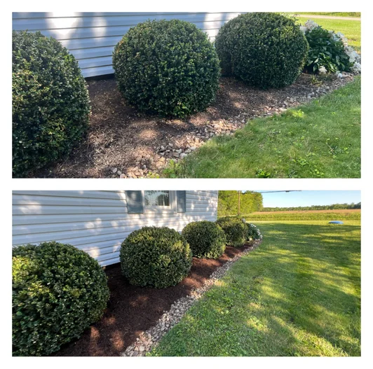 Patio & Deck Cleaning result